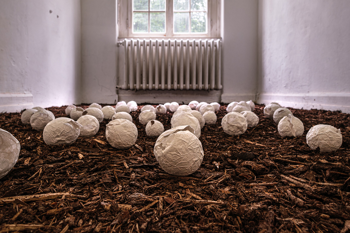 Kuckucksnest / Koekoeksnest, ArToll Kunstlabor 2023 | Foto: Marco Wasser